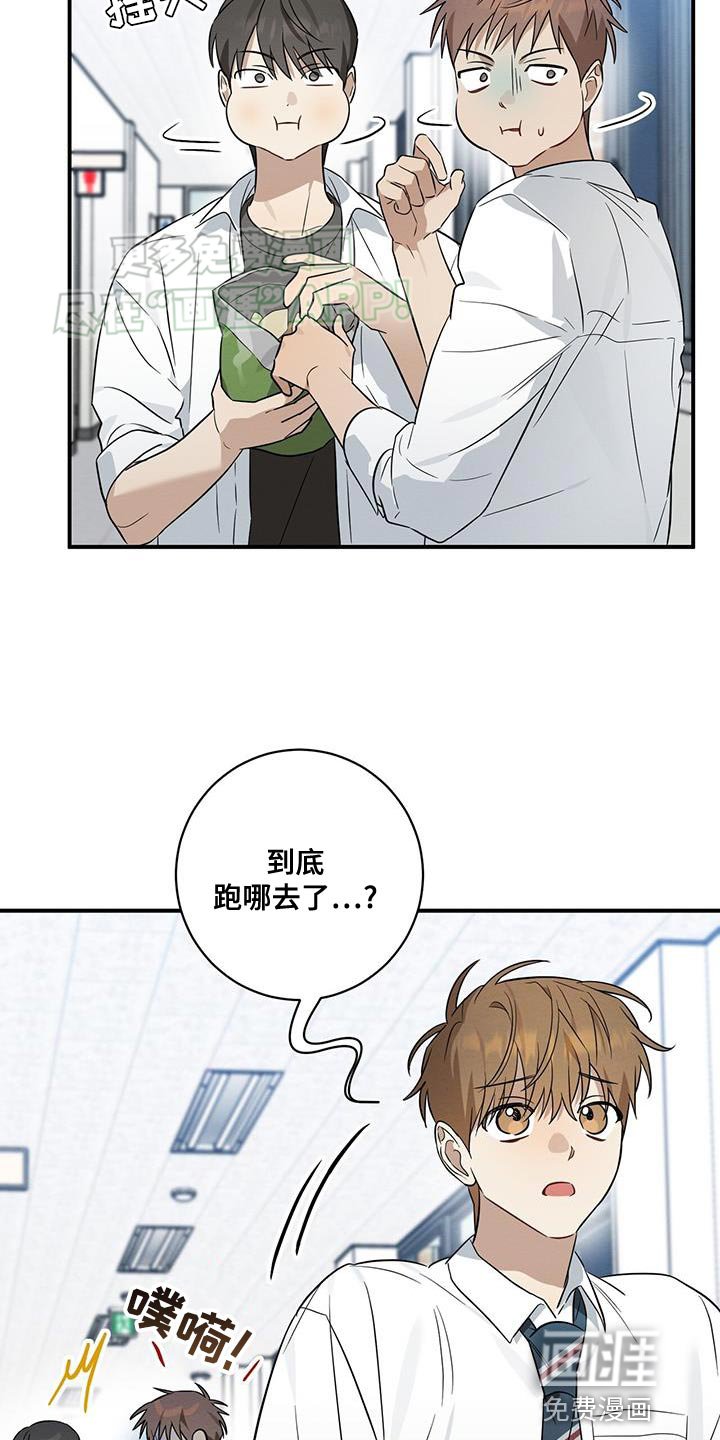 第61章：保护
