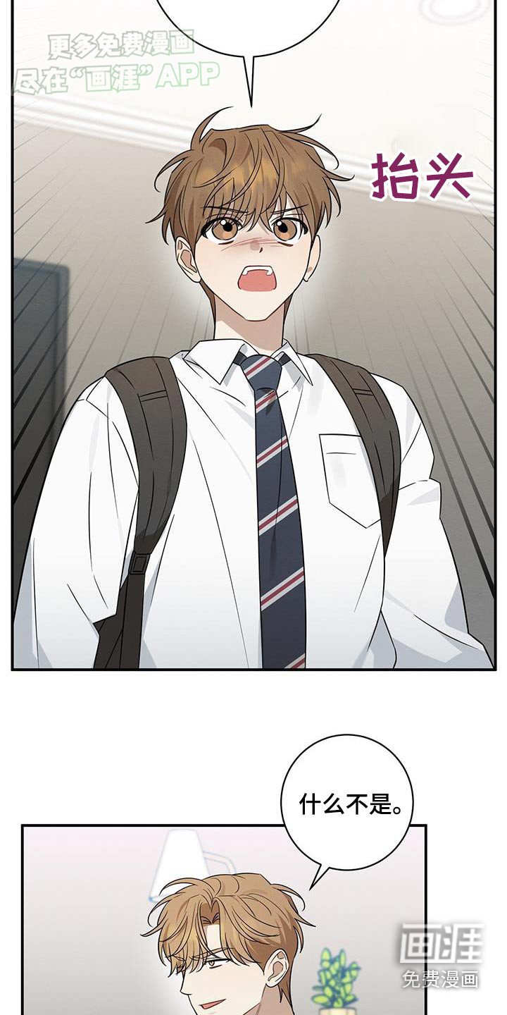 第70章：指手画脚