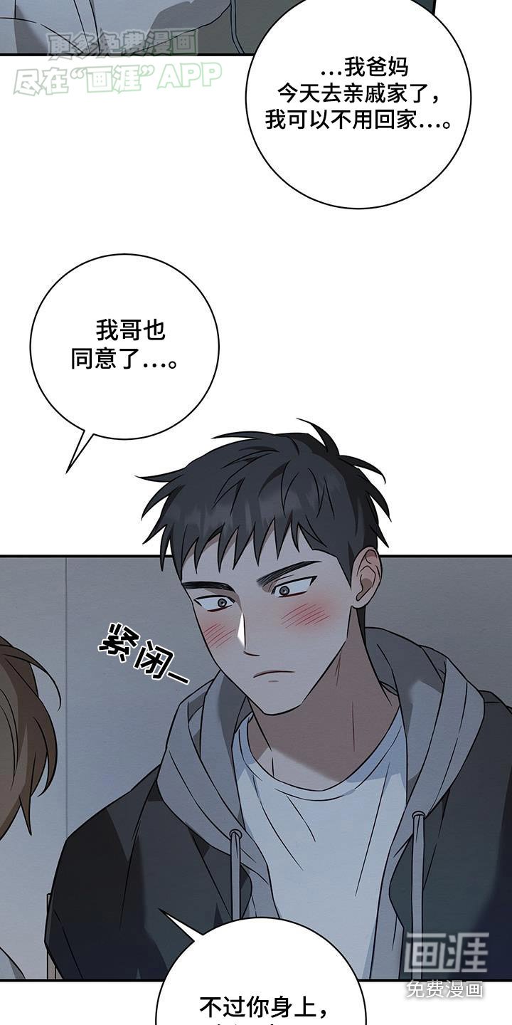 第81章：好好相处【完结】