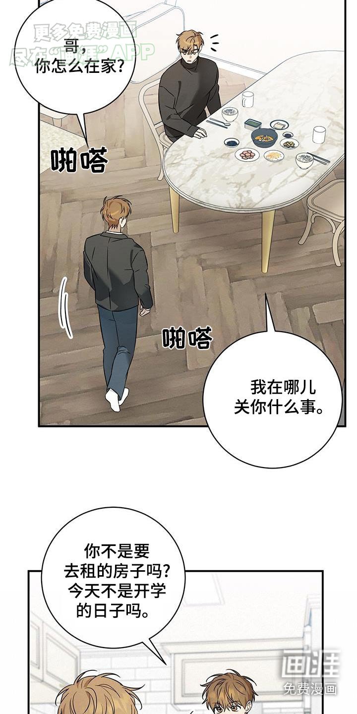 第81章：好好相处【完结】