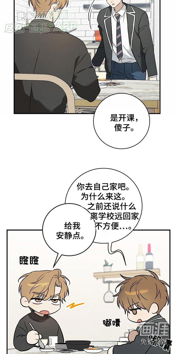 第81章：好好相处【完结】