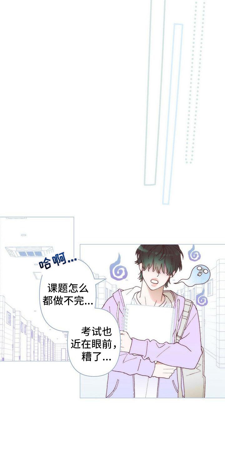 第1章：计划