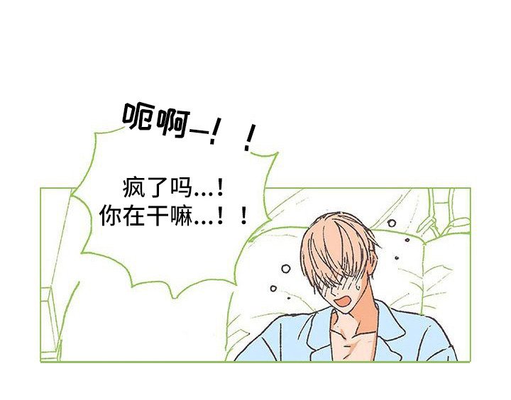 第10章：我行我素