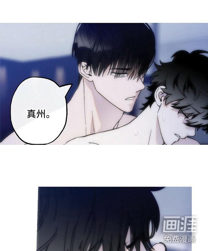 第17章：说你喜欢