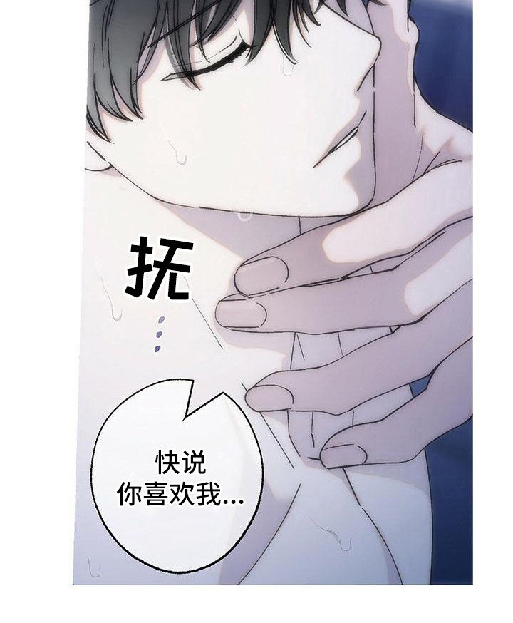 第17章：说你喜欢