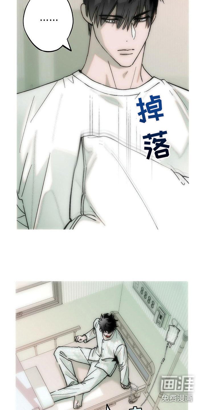 第17章：说你喜欢