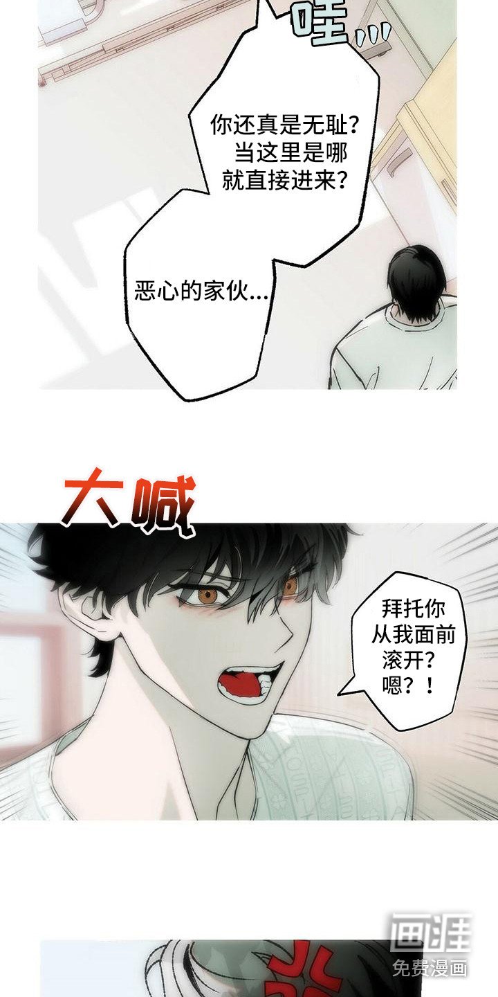 第17章：说你喜欢
