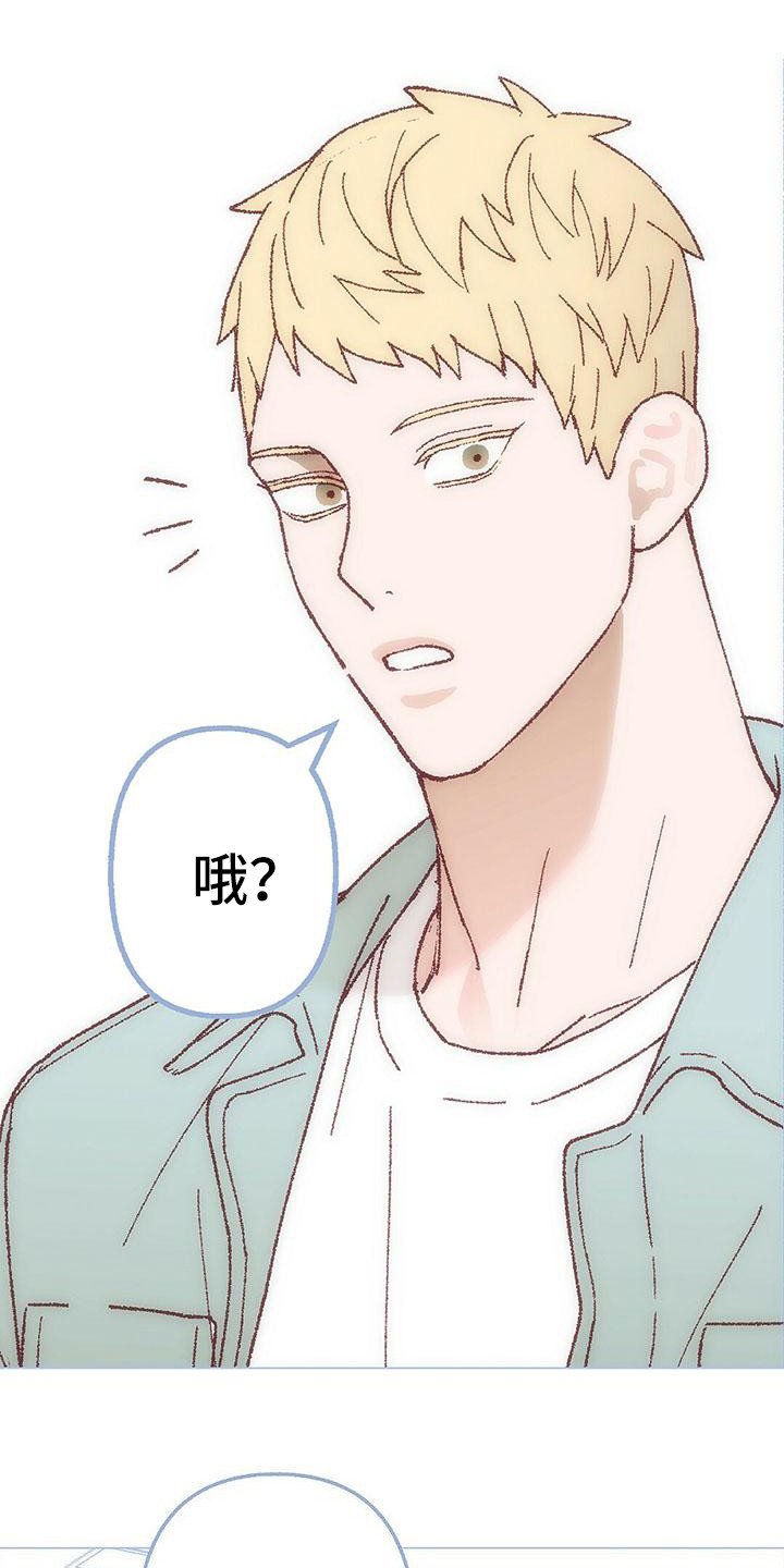 第2章：真好看
