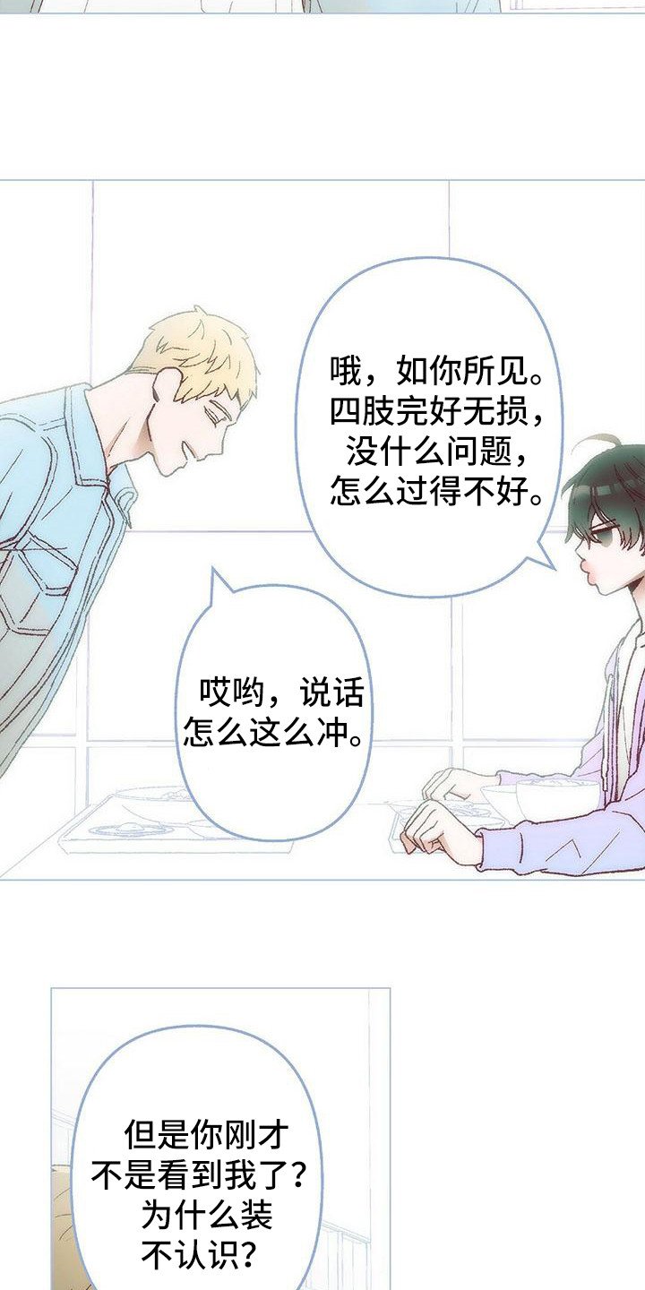 第2章：真好看