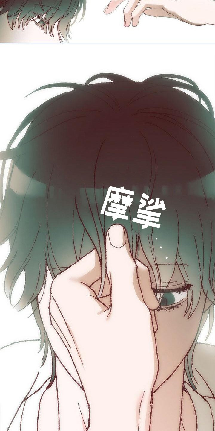 第2章：真好看