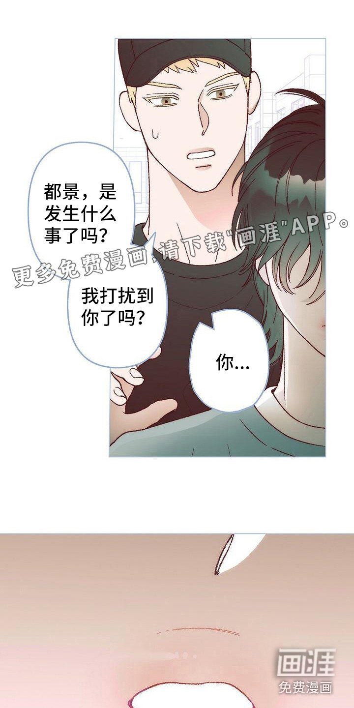 第6章：解释