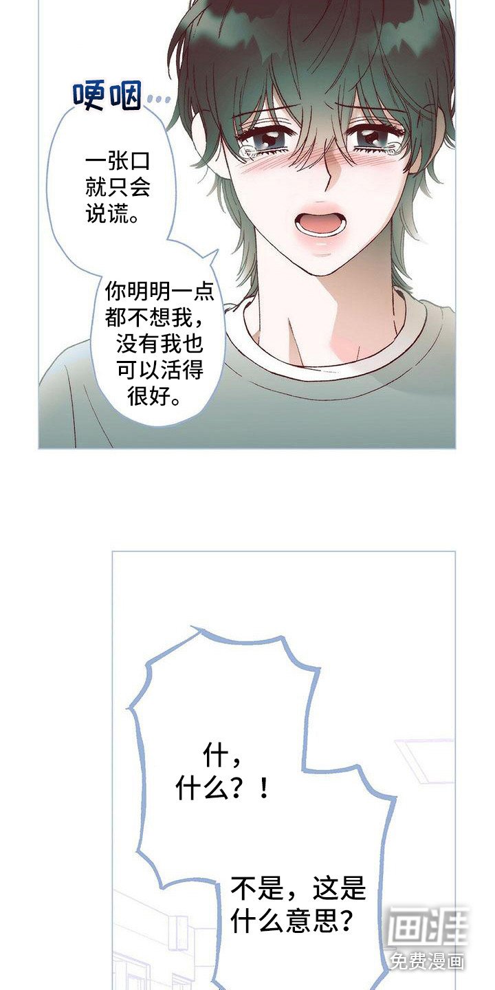 第6章：解释