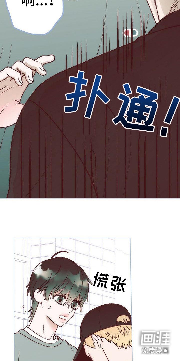 第6章：解释