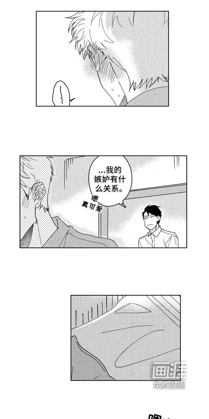 第24章：解释
