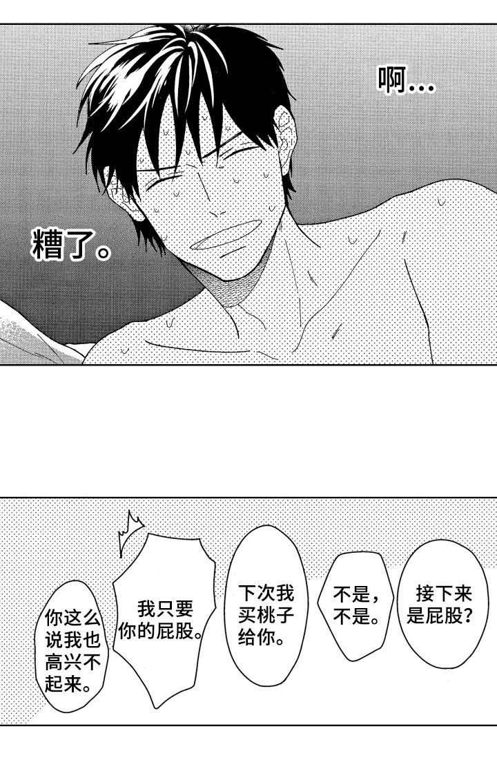 第24章：解释