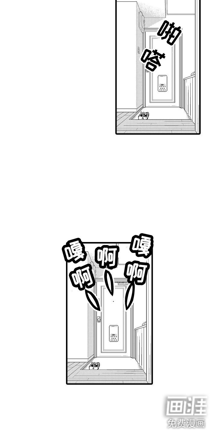 第17章：混乱