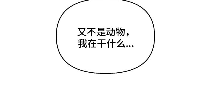 第14章：他在干什么