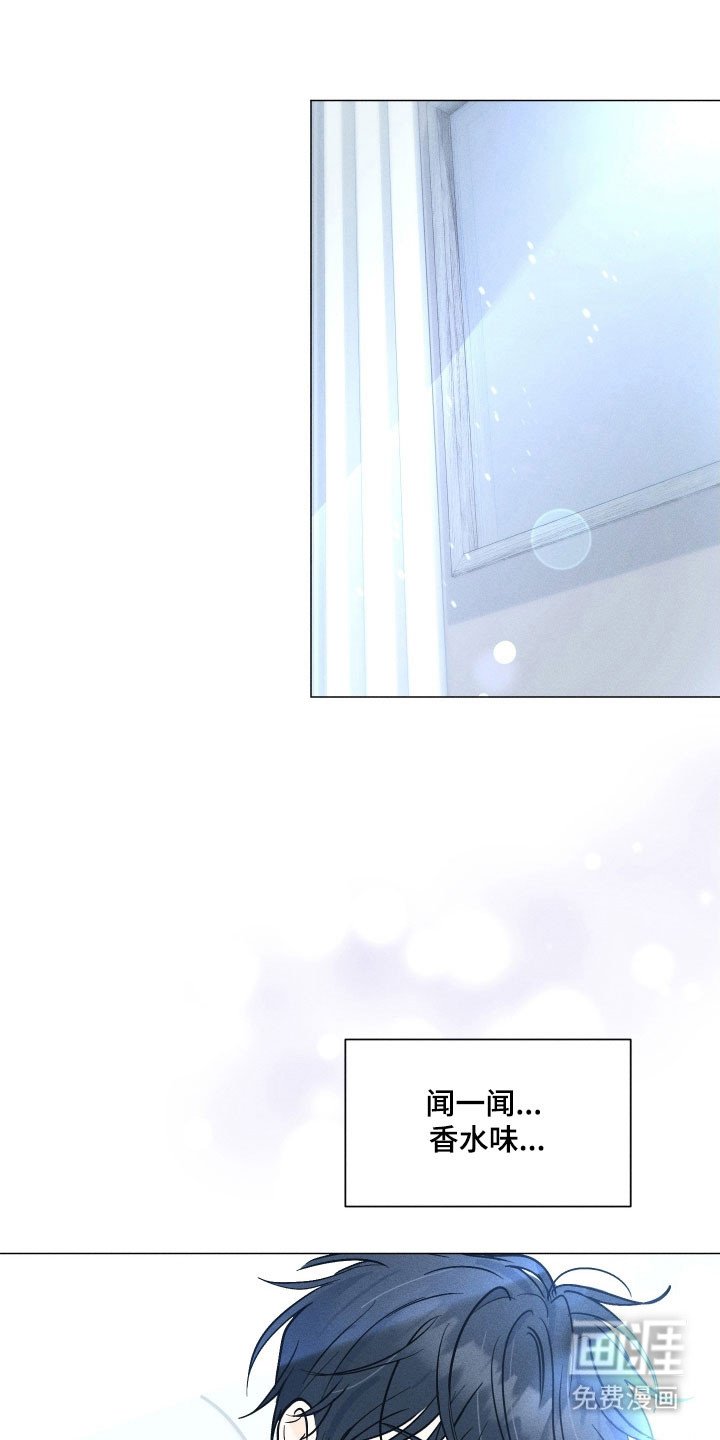 第15章：造成影响