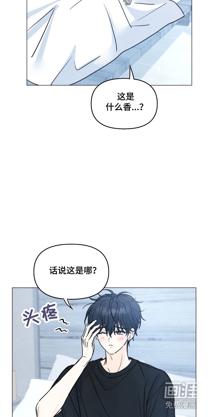 第15章：造成影响