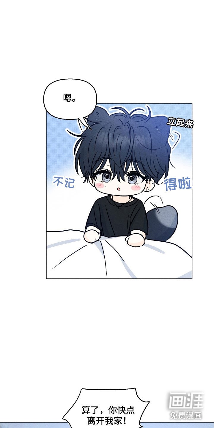 第15章：造成影响