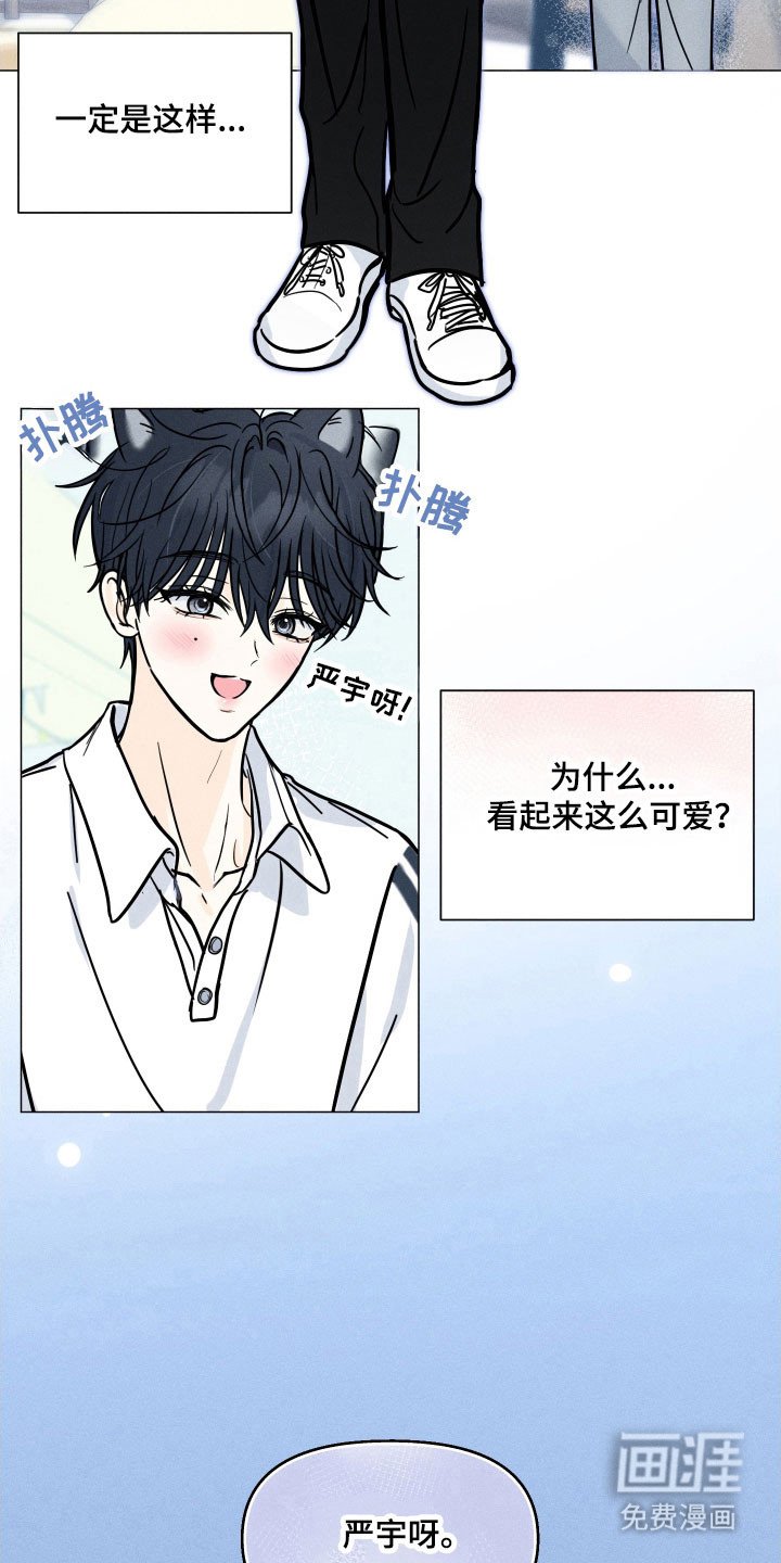 第25章：疯狂幻想