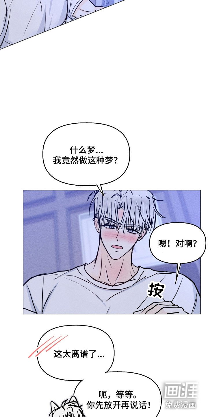 第26章：认定了