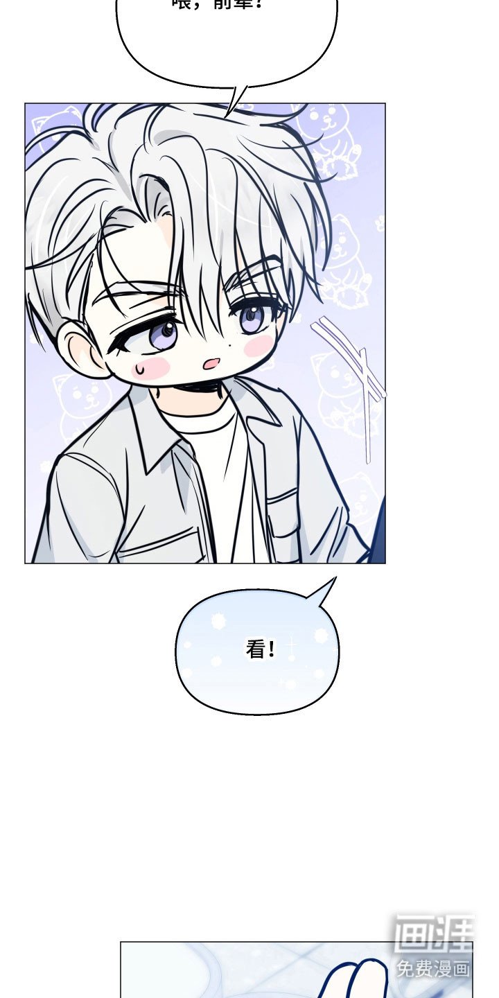 第29章：在交往吗