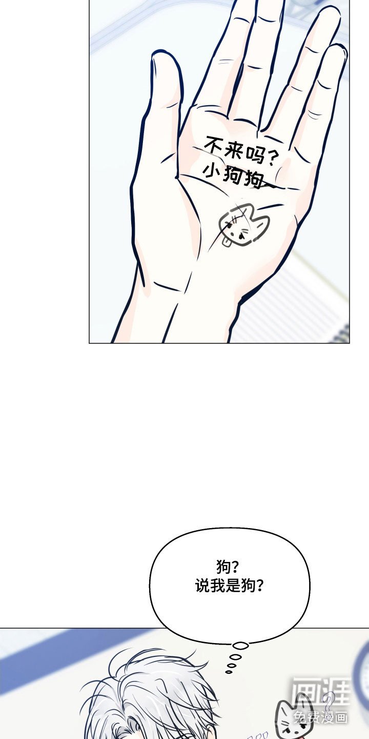 第29章：在交往吗