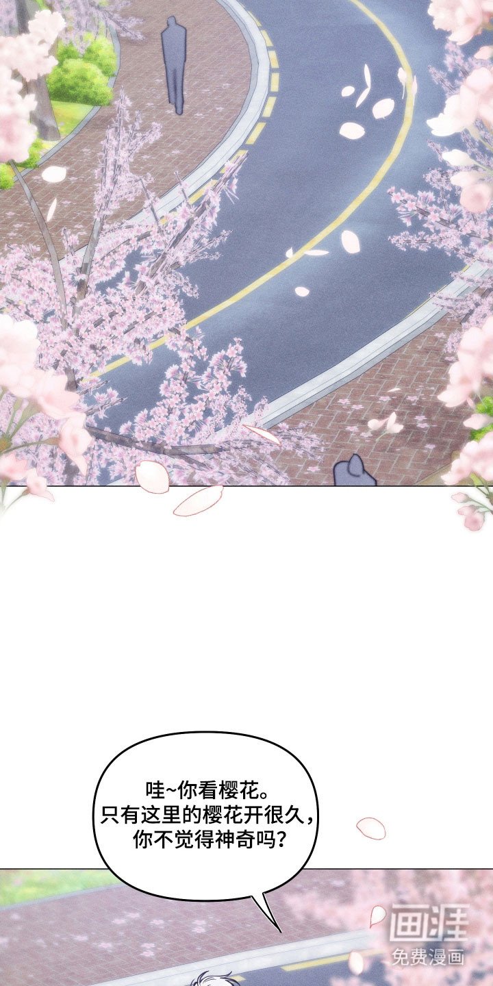 第31章：先回家吧