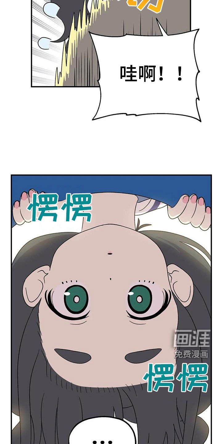 第24章：游乐场