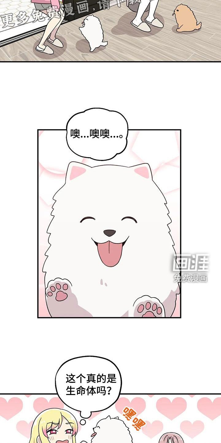 第49章：还是老样子