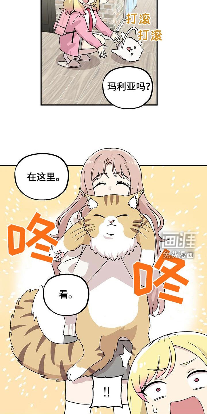 第49章：还是老样子