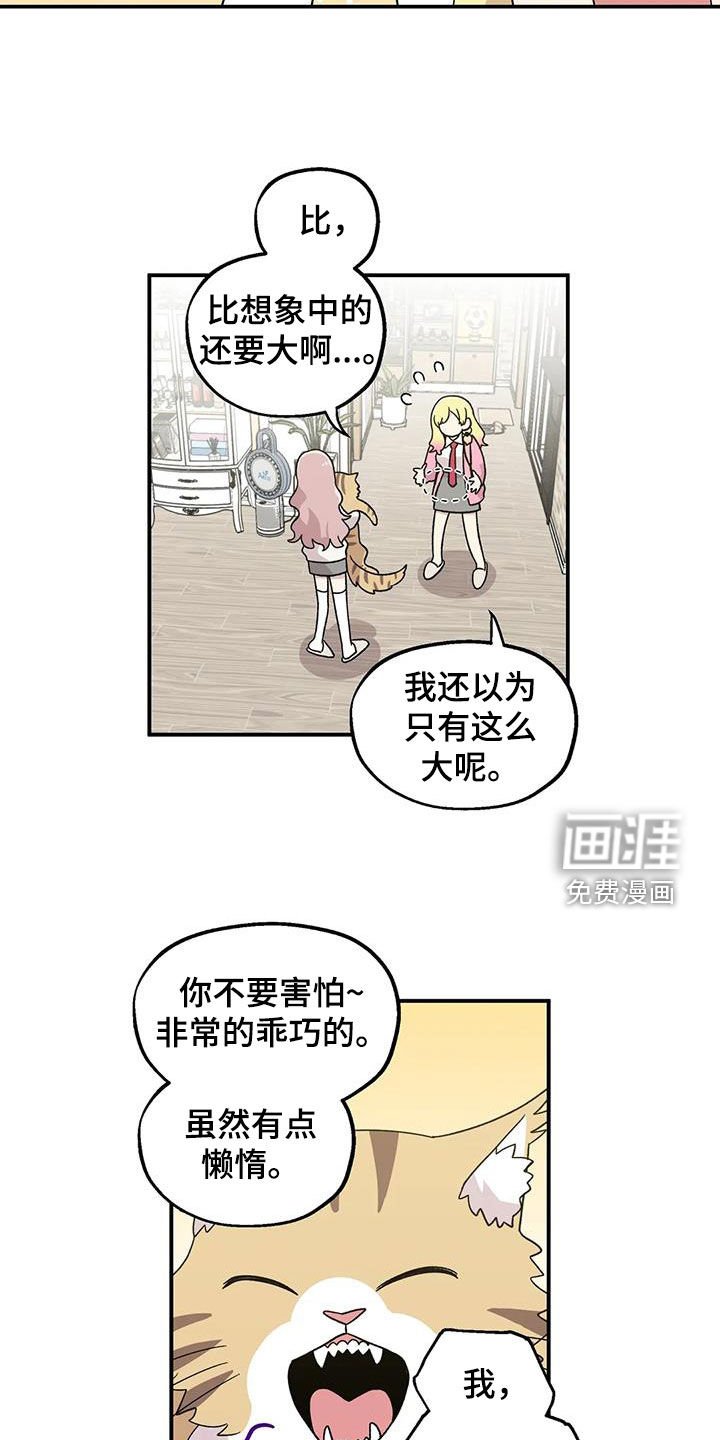 第49章：还是老样子