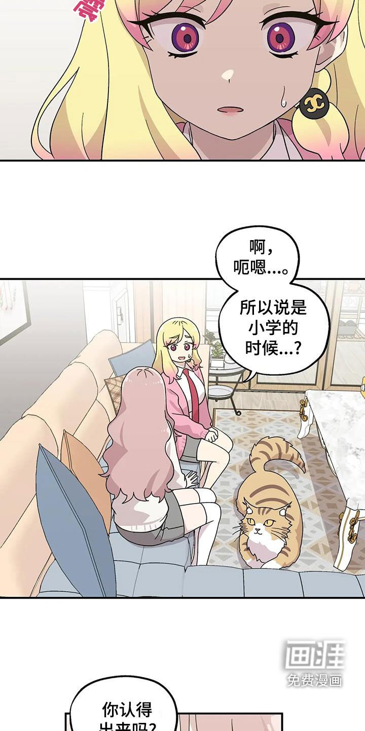 第50章：终于等到你