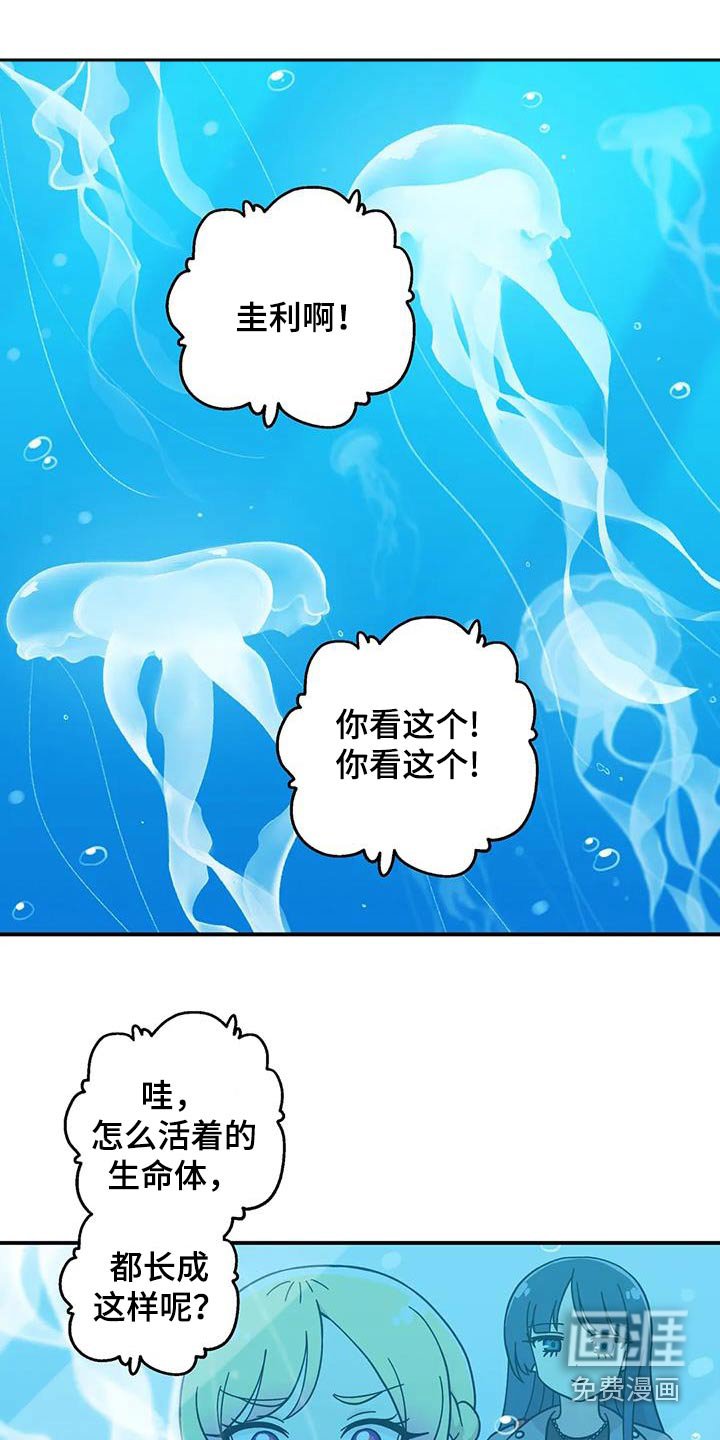 第88章：项链