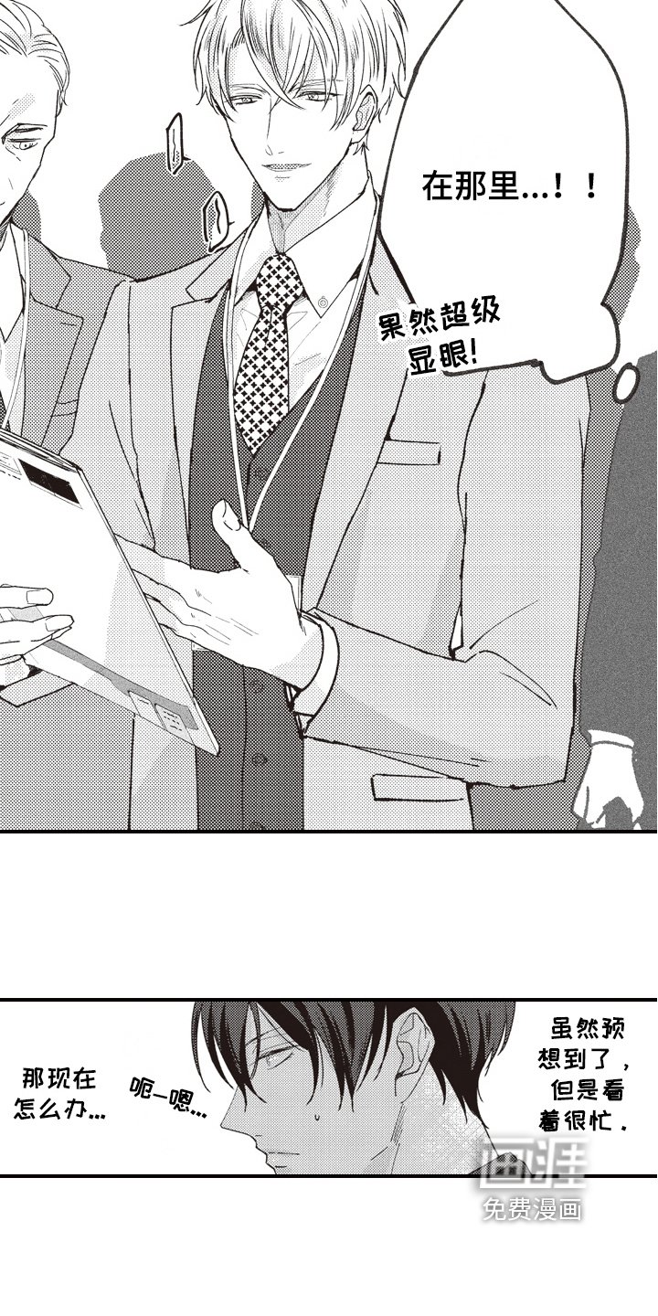 第10章：显眼