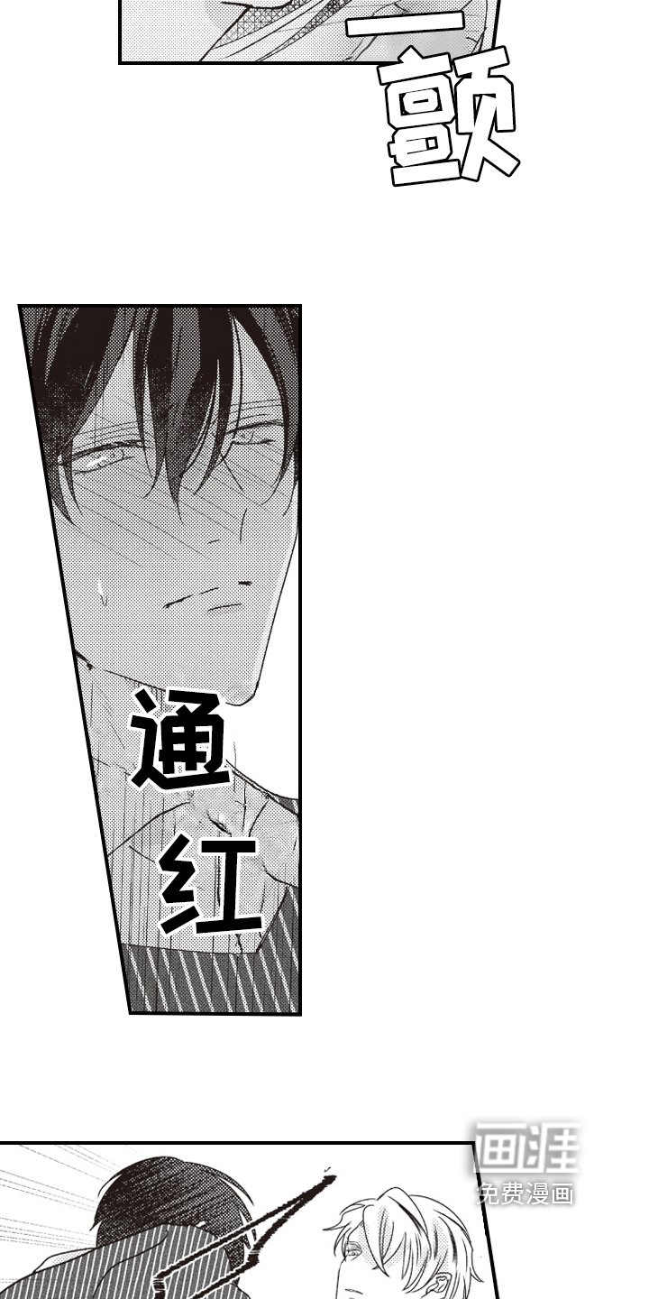 第12章：情况