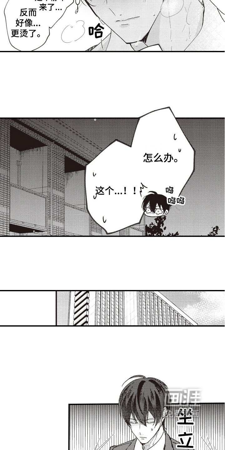 第12章：情况