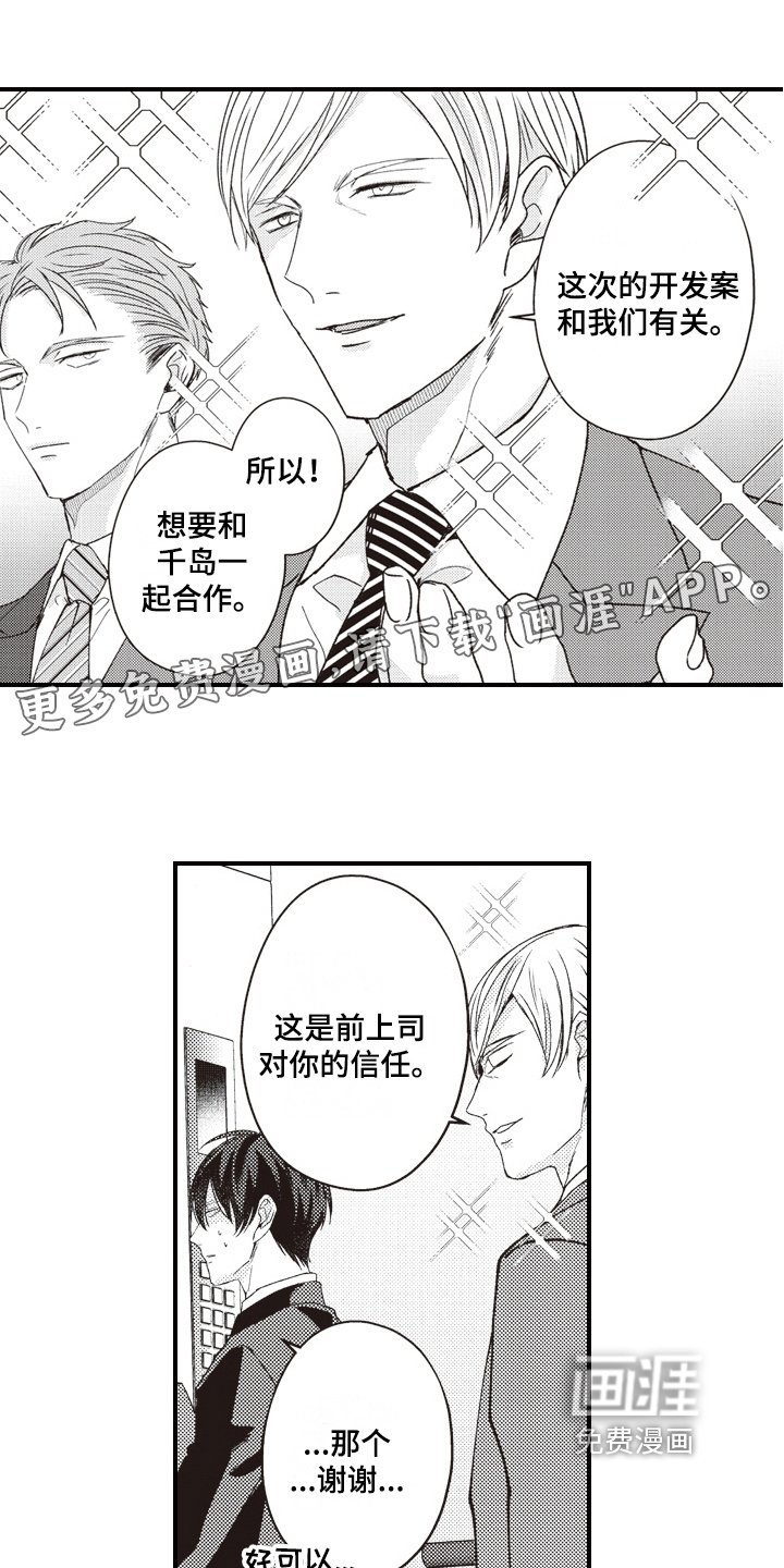第13章：调查