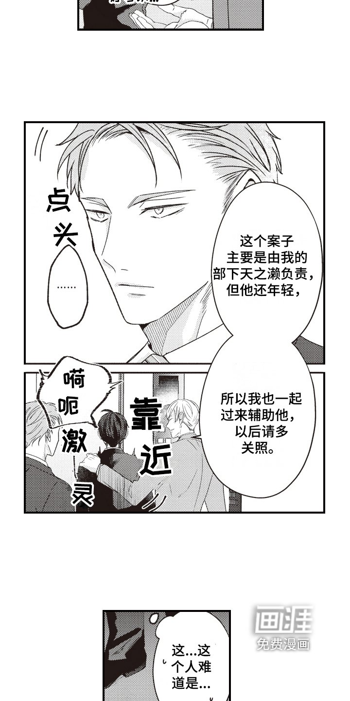 第13章：调查
