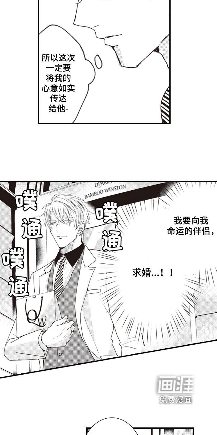 第20章：戒指
