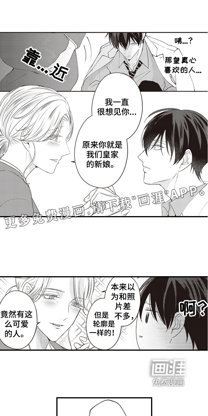 第27章：求婚