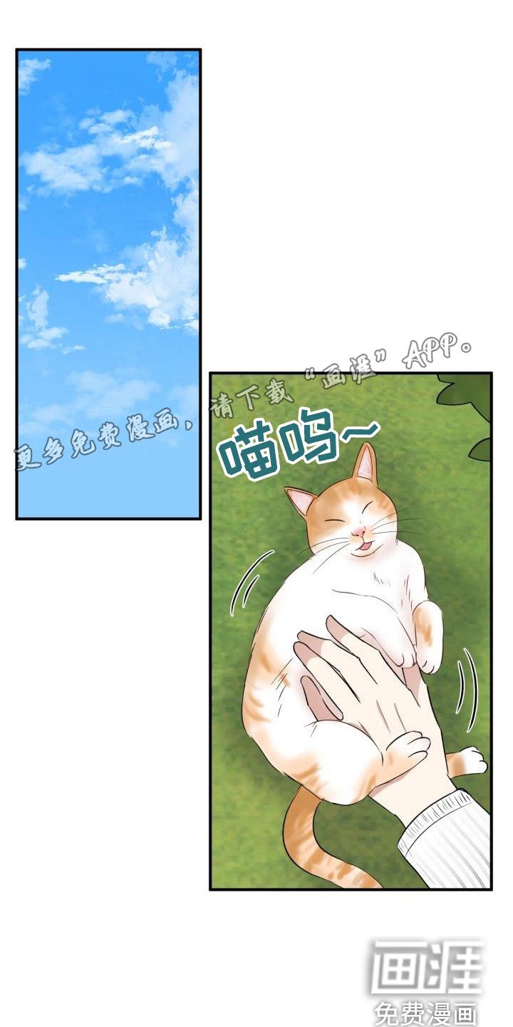 第10章：所了解的