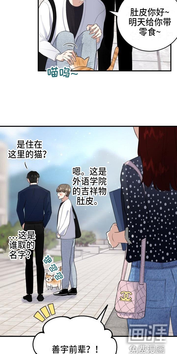 第10章：所了解的