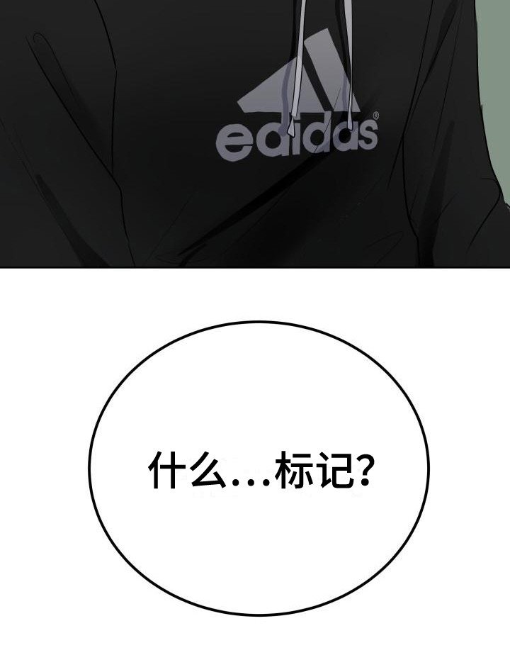 第3章：被标记