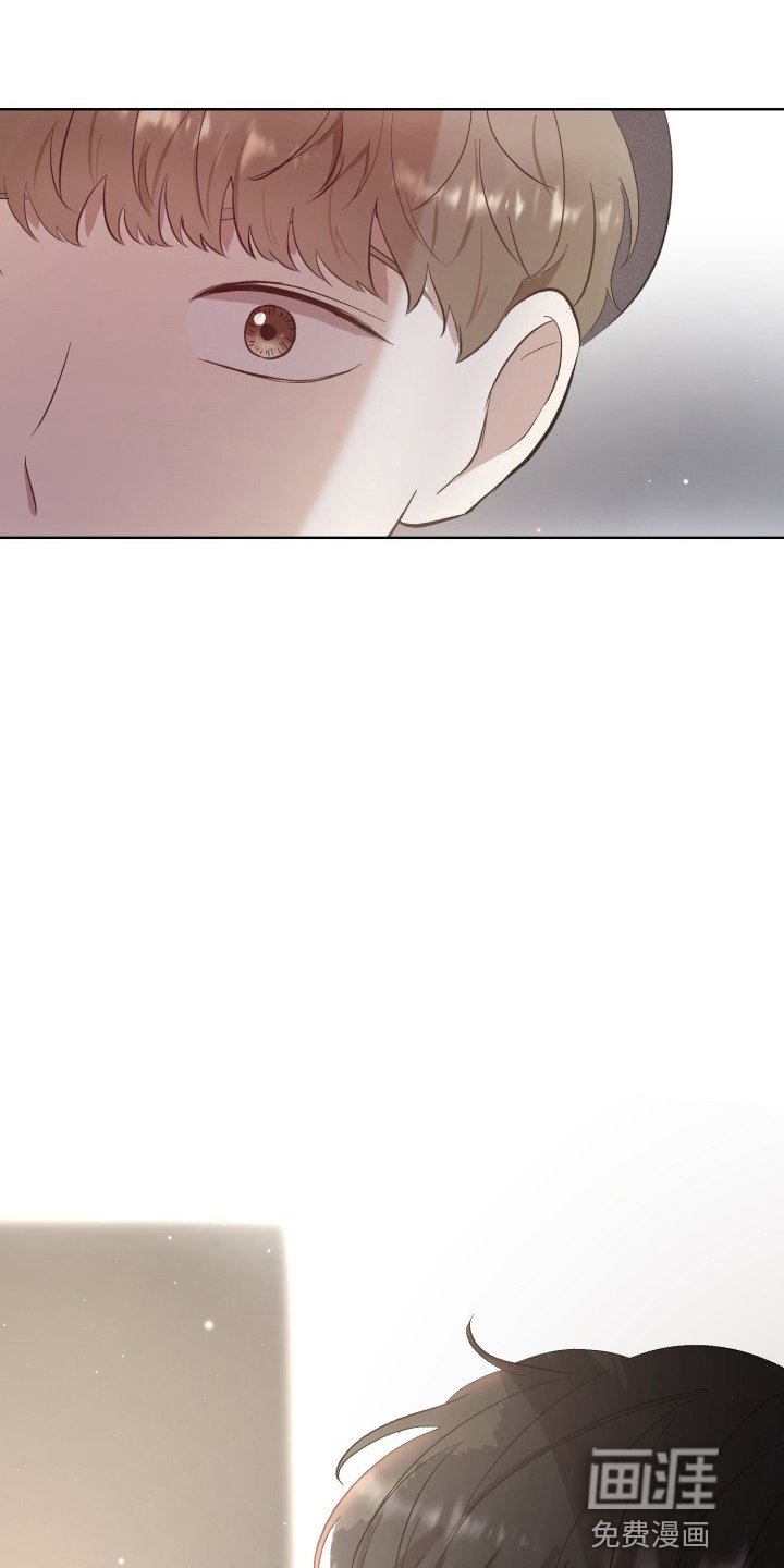 第35章：纸巾