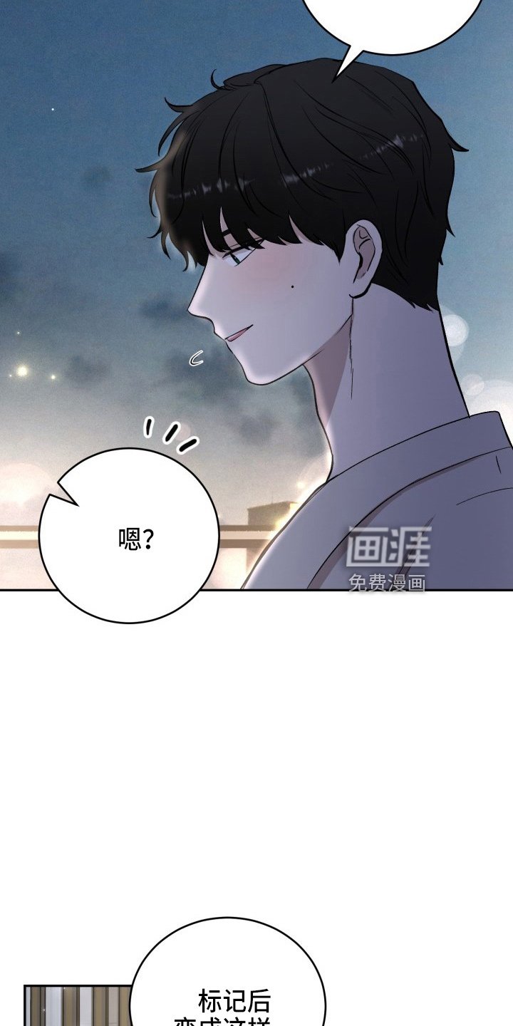 第38章：项链