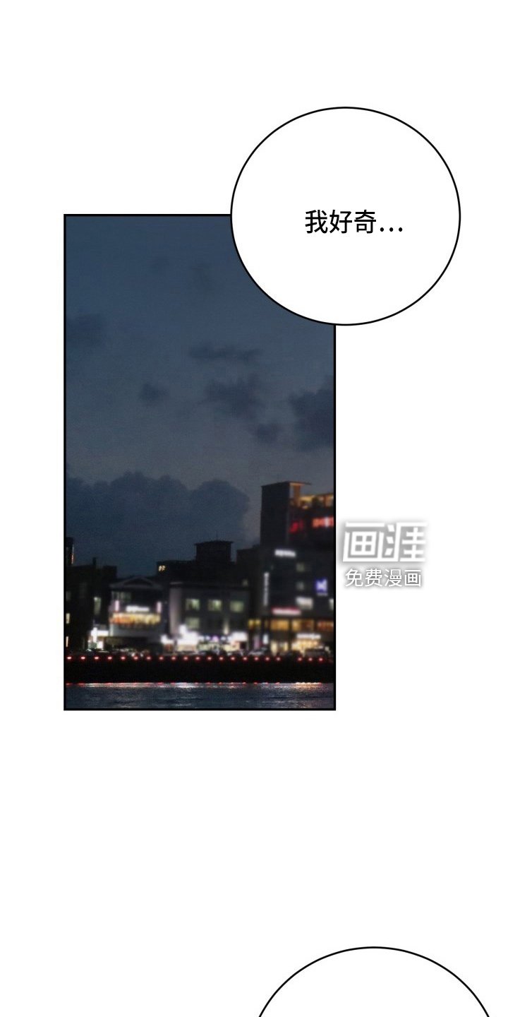 第38章：项链