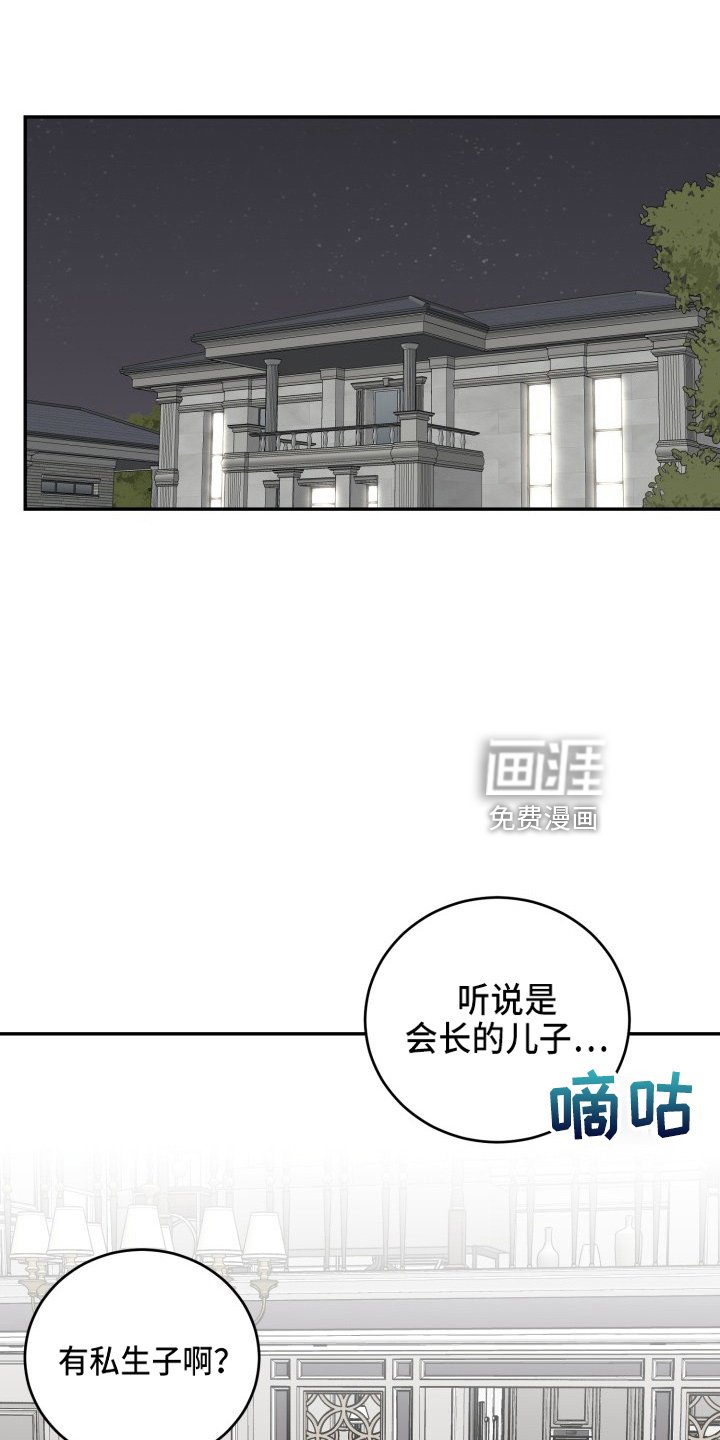 第39章：私生子