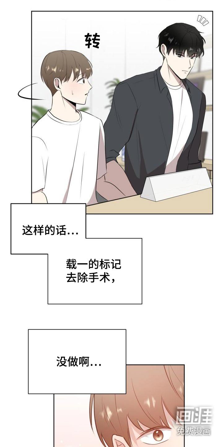 第55章：专用